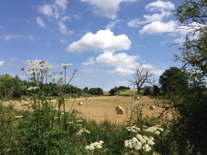 rural english countryside in Suffolk